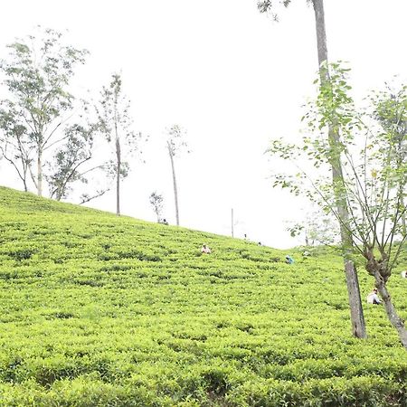 Апартаменты Ella Tea Land View Экстерьер фото